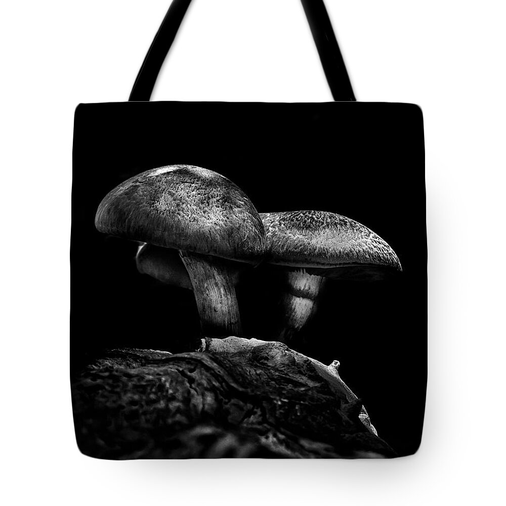 Toronto Tote Bag featuring the photograph Toadstools On A Toronto Trail No 5 by Brian Carson