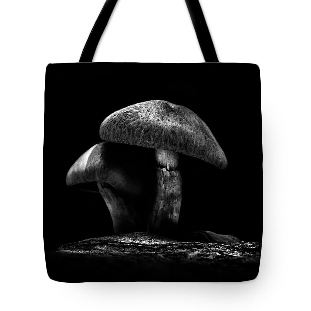 Toronto Tote Bag featuring the photograph Toadstools On A Toronto Trail No 6 by Brian Carson