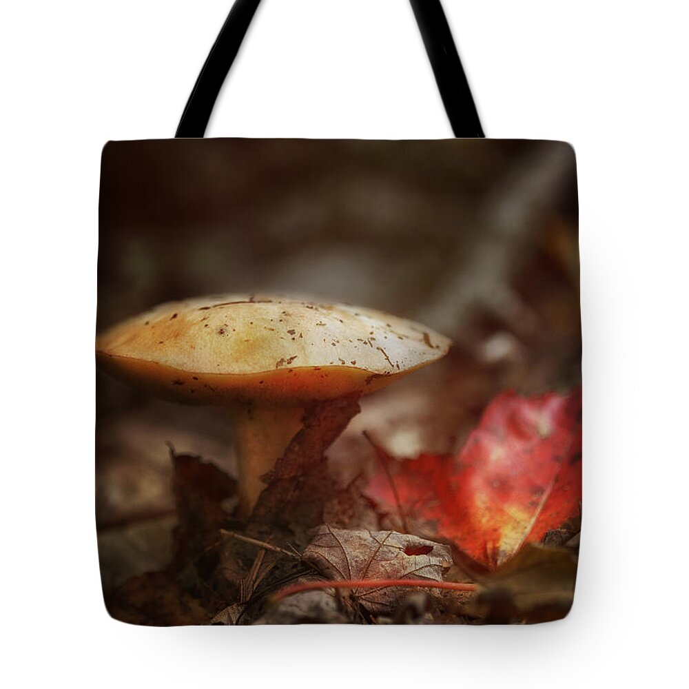 Sue Capuano Tote Bag featuring the photograph Toasty Glow by Sue Capuano