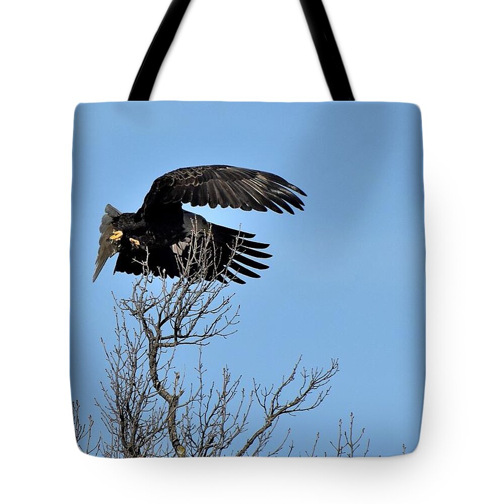 Bird Tote Bag featuring the photograph Todays Art 2003 by Lawrence Hess