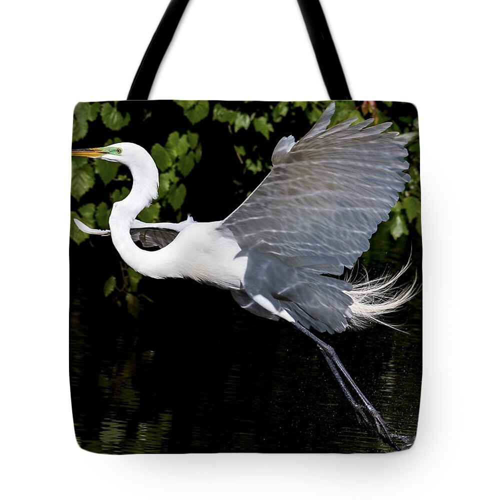 Great Egret Tote Bag featuring the photograph Toe Draggin' by Jim Miller