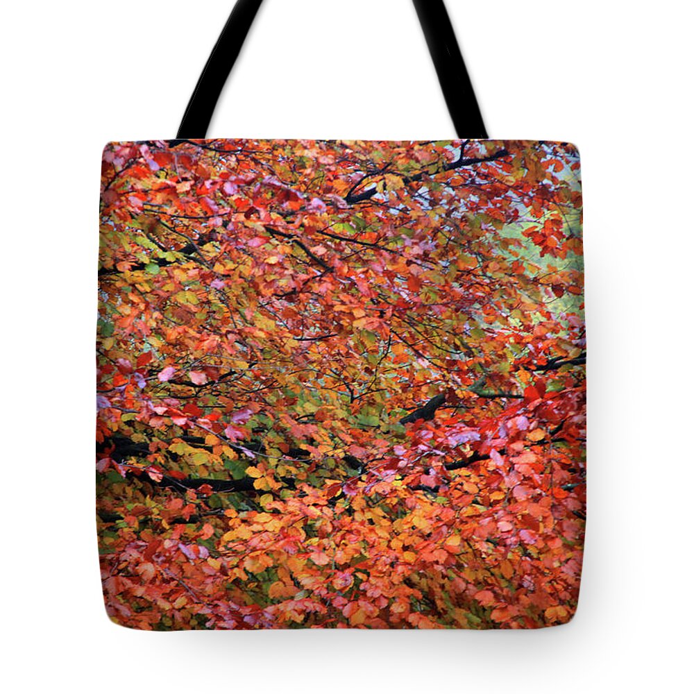 Hebden Tote Bag featuring the photograph Too Soon For Fall by Jez C Self