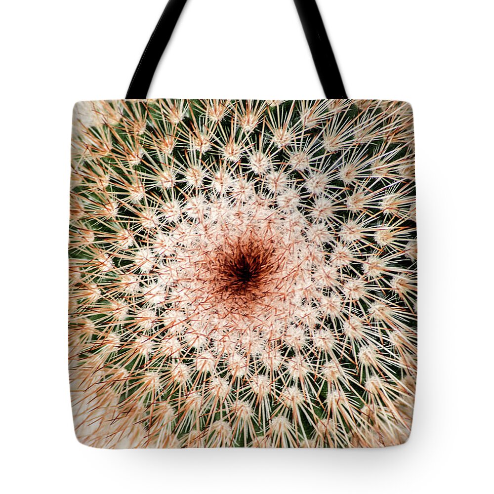Cactus Tote Bag featuring the photograph Top of Cactus by Don Johnson