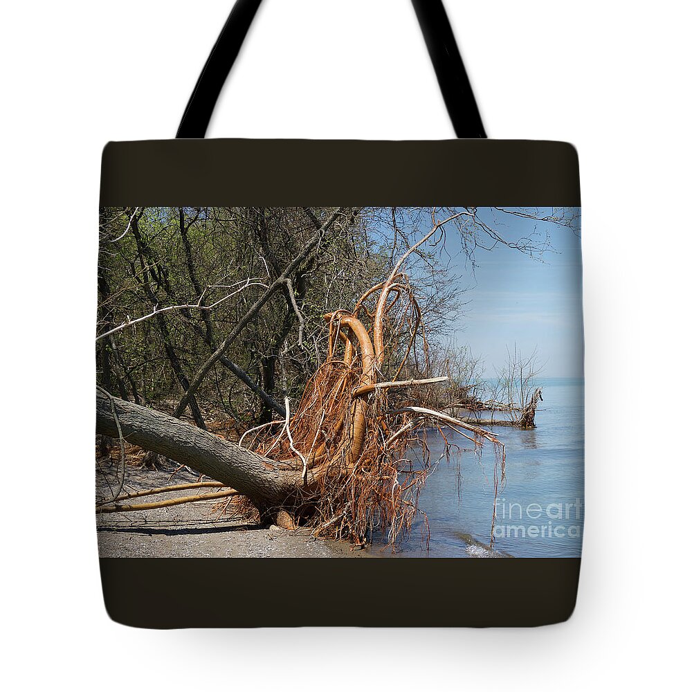 Weather Tote Bag featuring the photograph Toppled by Ann Horn