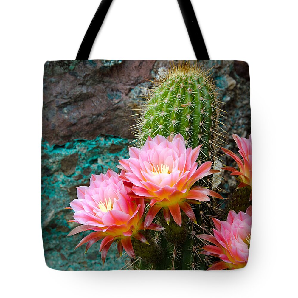 Torch Cactus Tote Bag featuring the photograph Torch and Chrysocolla by Evelyn Harrison