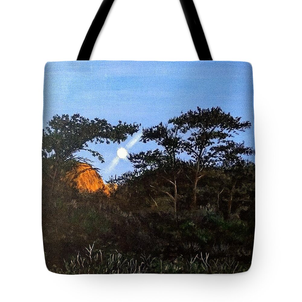 Torrey Pines Tote Bag featuring the painting Torrey pines in the morning by Kevin Daly