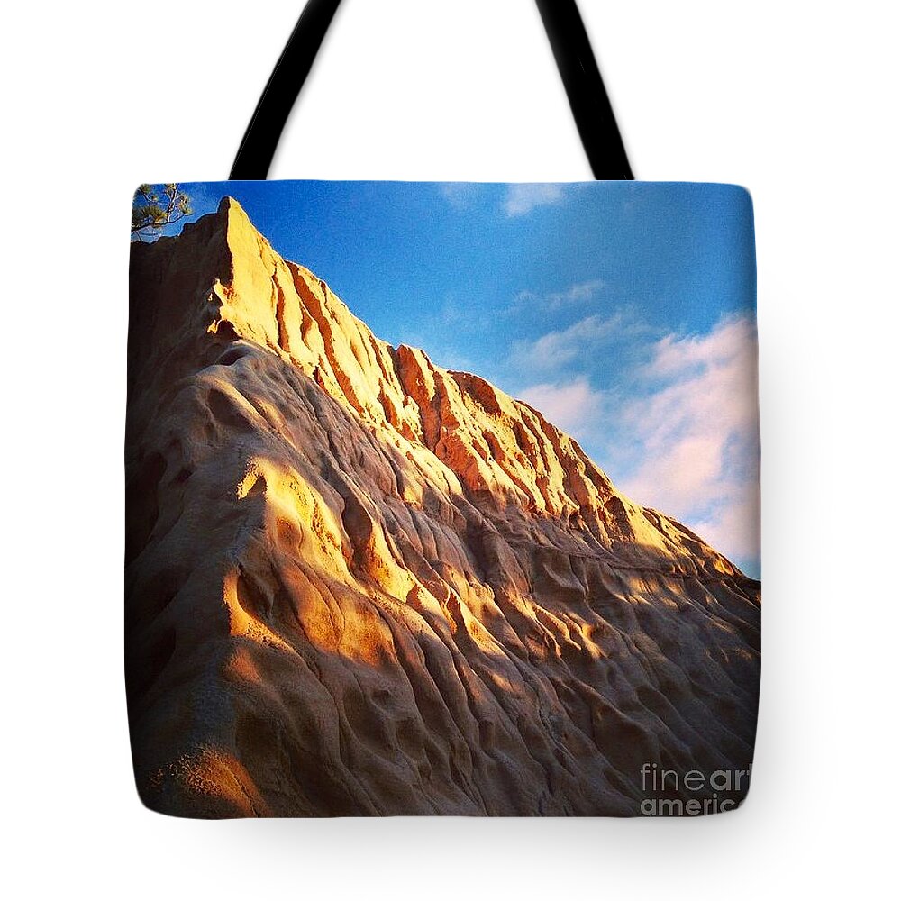 Torrey Pines State Reserve Tote Bag featuring the photograph Torrey Pines State Reserve by Denise Railey