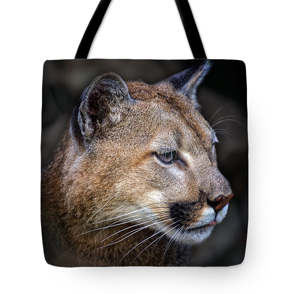 Crystal Yingling Tote Bag featuring the photograph Totem by Ghostwinds Photography