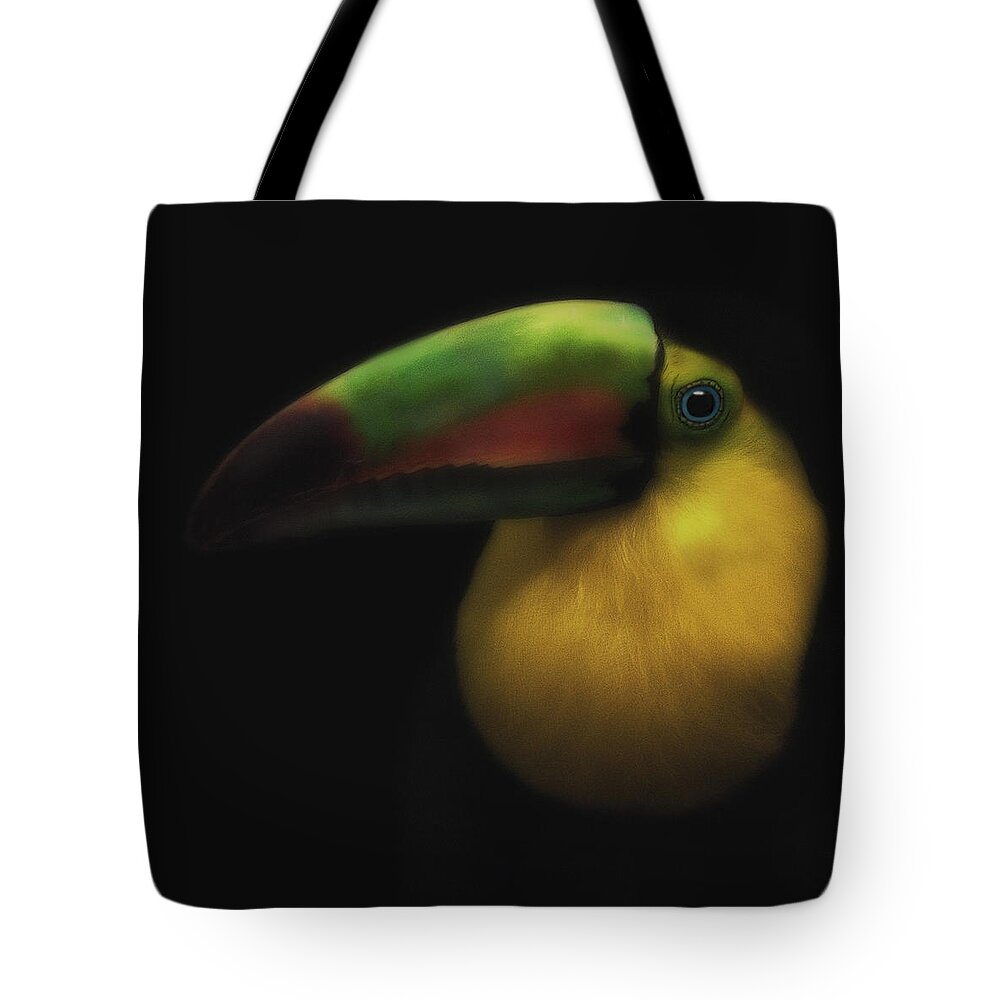 Toucans Tote Bag featuring the photograph Toucan On Black by Pat Abbott