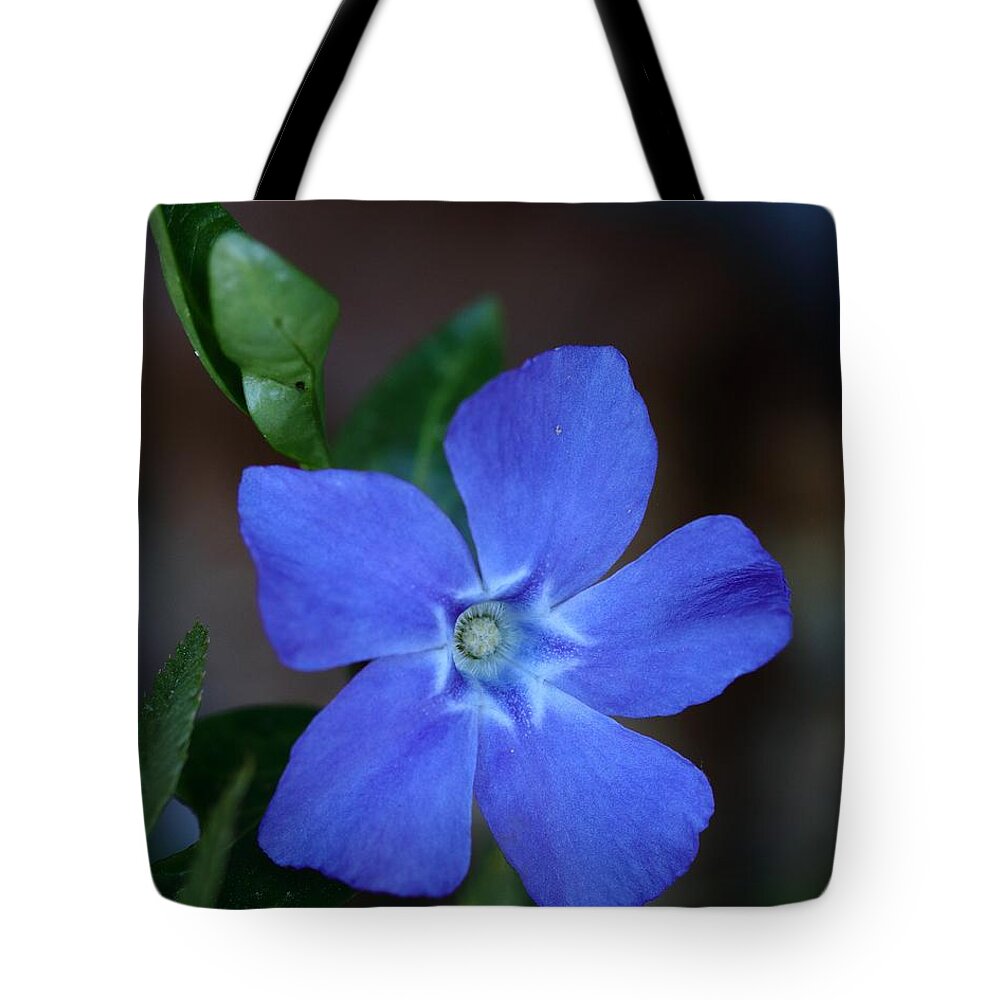 Vinca Tote Bag featuring the photograph Touch of Spring by I'ina Van Lawick