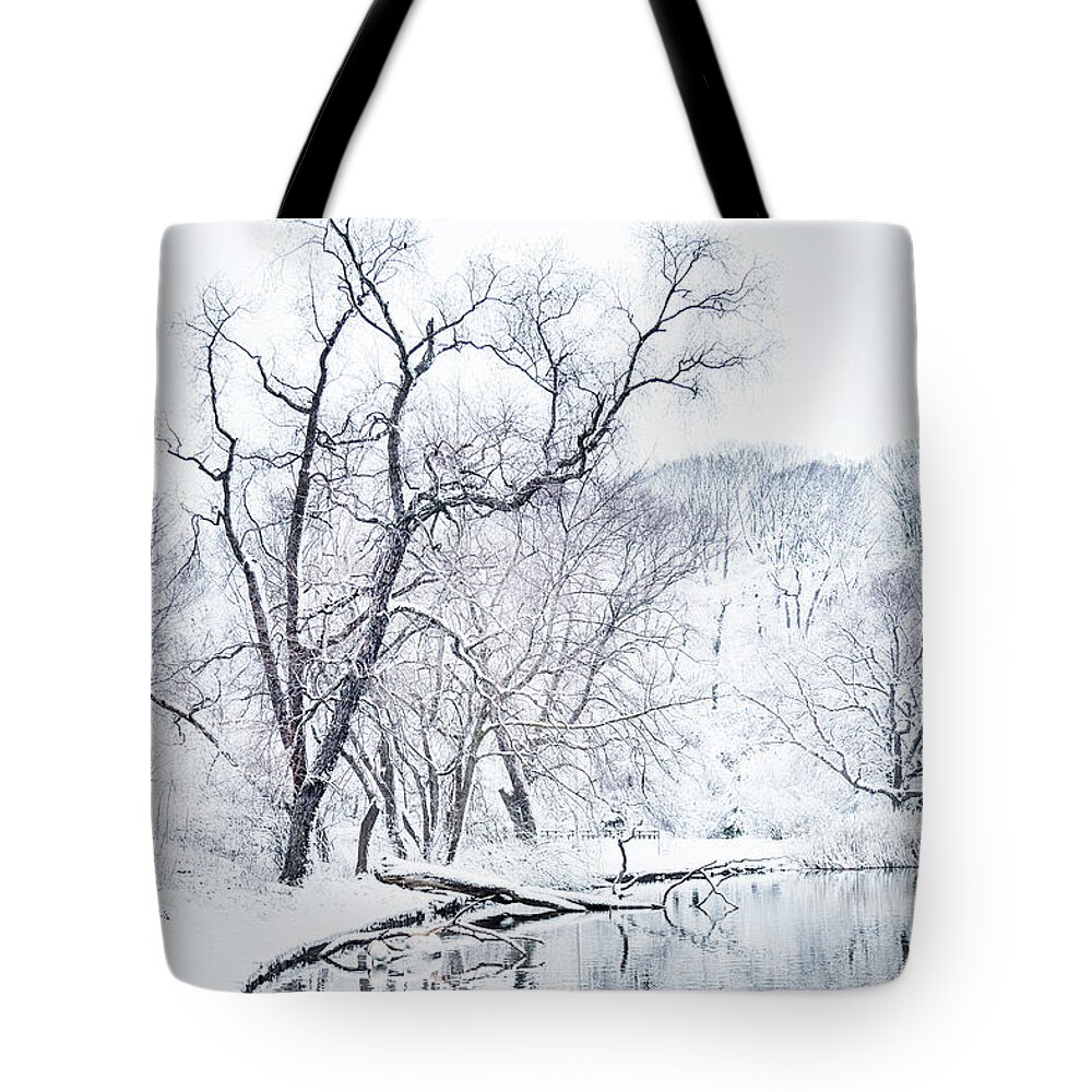 Kremsdorf Tote Bag featuring the photograph Touching Silence by Evelina Kremsdorf