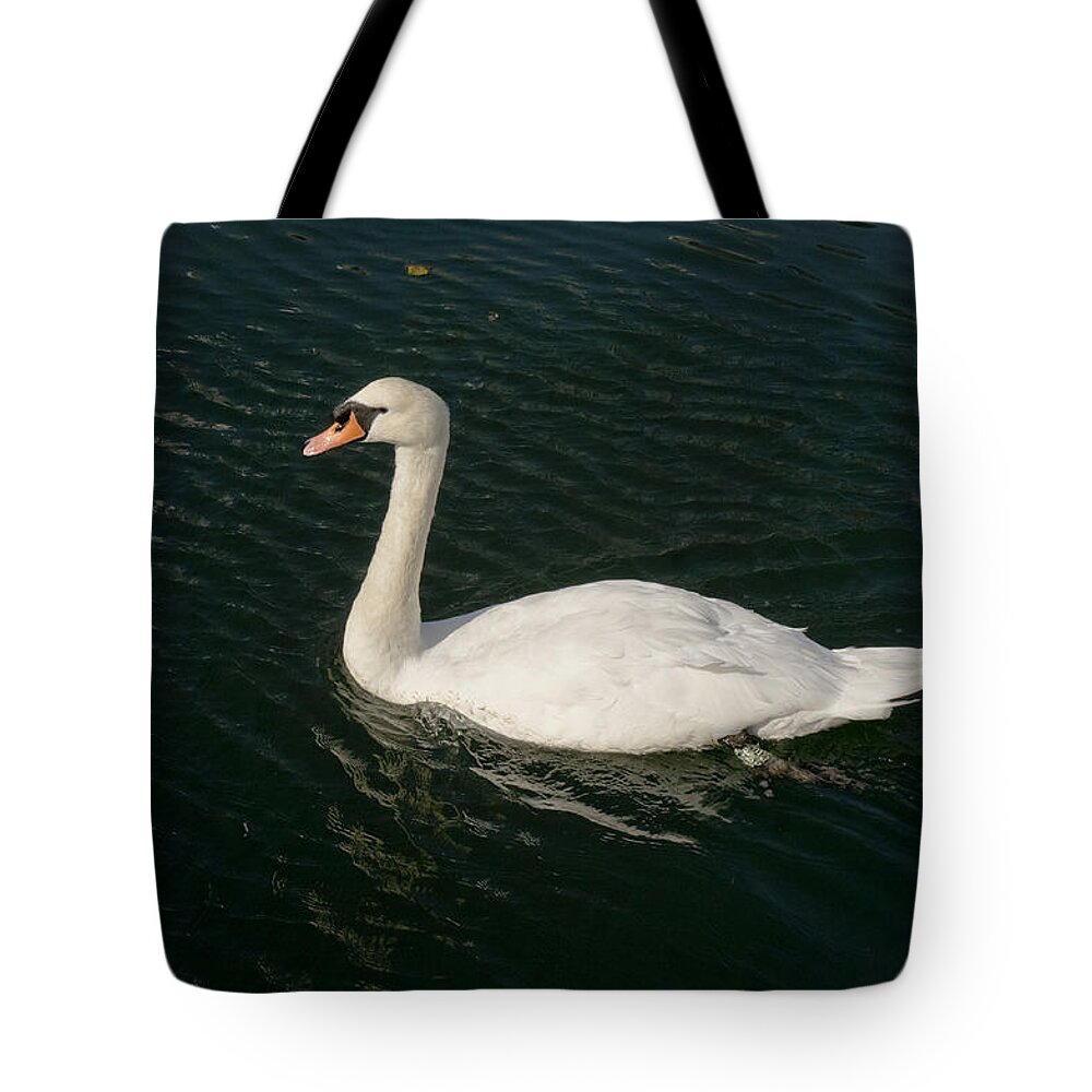 Swan Tote Bag featuring the photograph Tour de Swan. Trois. by Elena Perelman