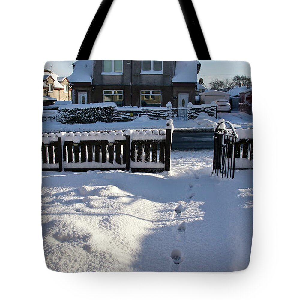 Snow Tote Bag featuring the photograph Traces on snow. by Elena Perelman