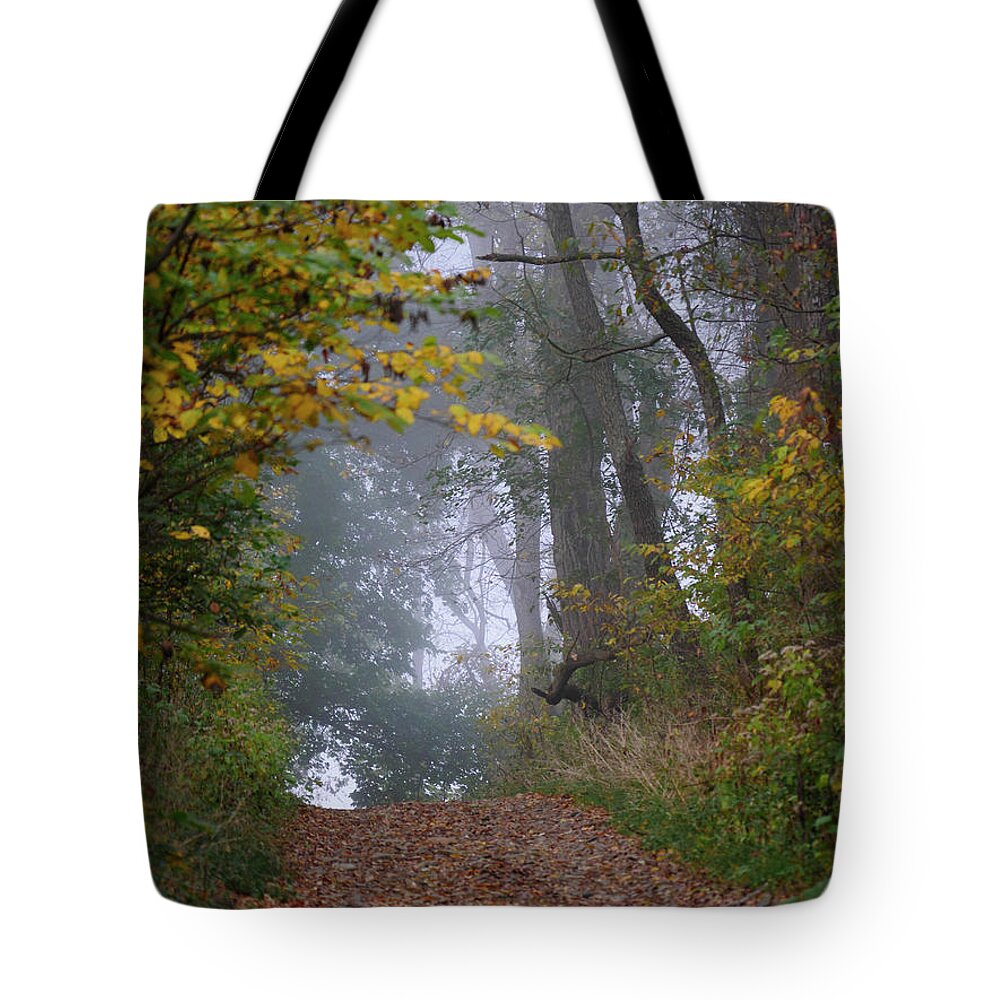 Landscape Tote Bag featuring the photograph Trail in Morning Mist by Paul Ross