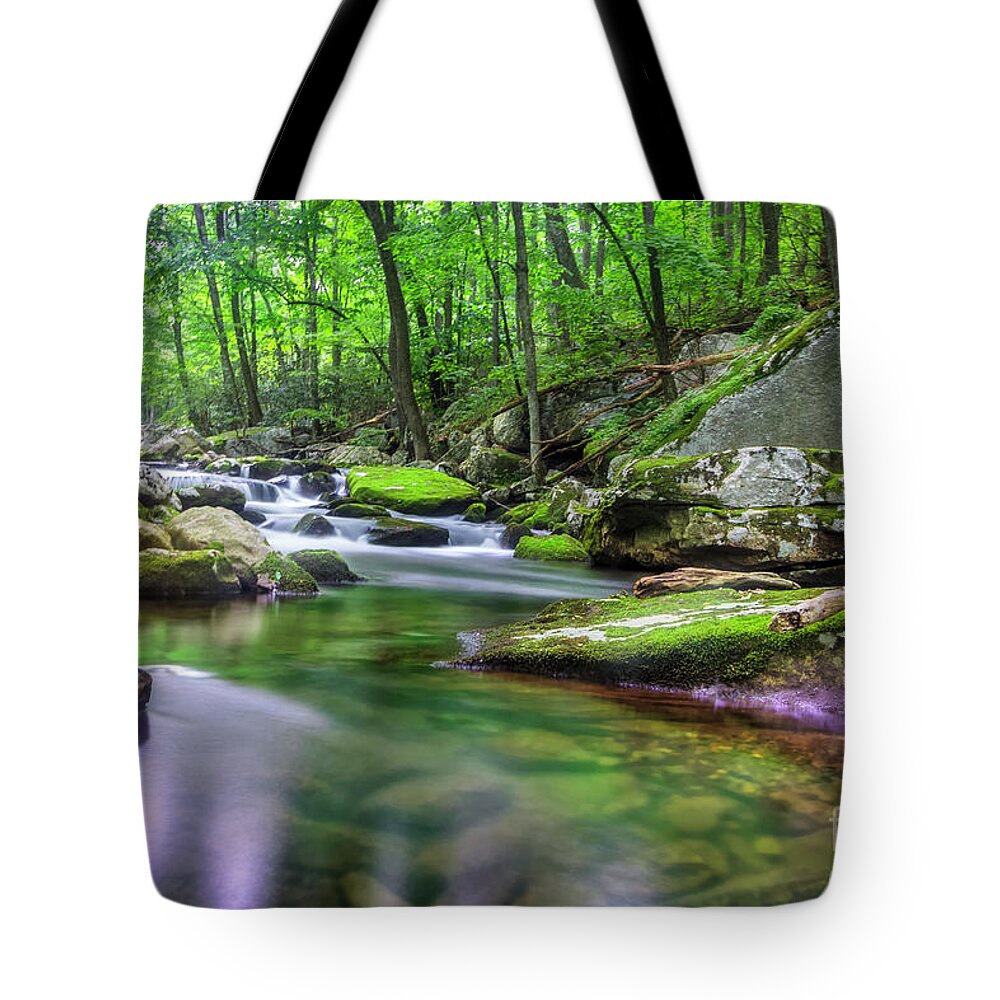 Cascade Tote Bag featuring the photograph Trail to Cascade Falls Virginia by Karen Jorstad