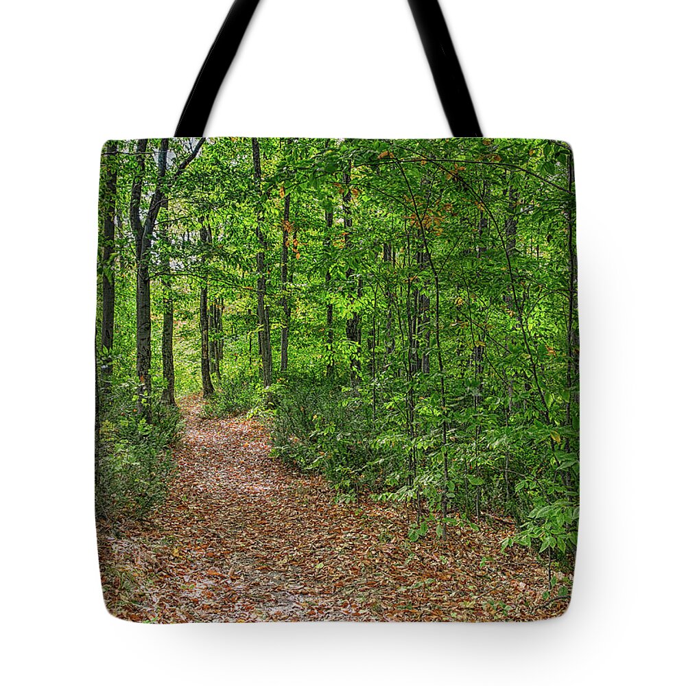 Autumn Tote Bag featuring the photograph Trailhead by John M Bailey