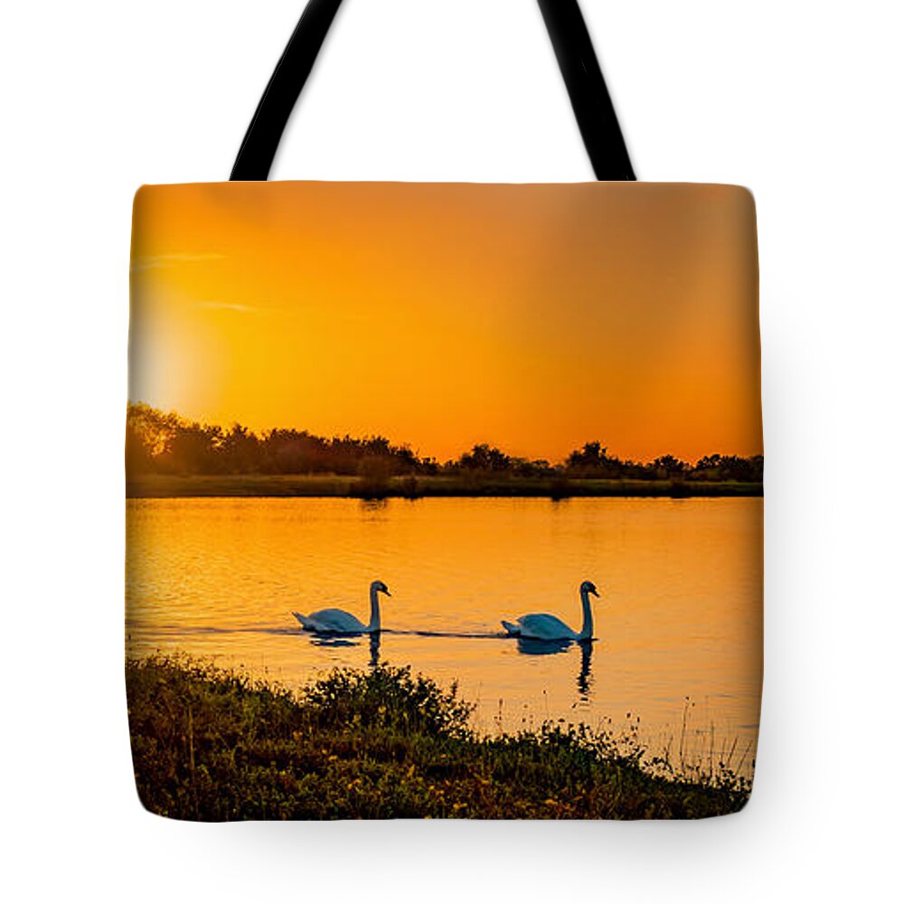 Swan Tote Bag featuring the photograph Tranquility by Nick Bywater