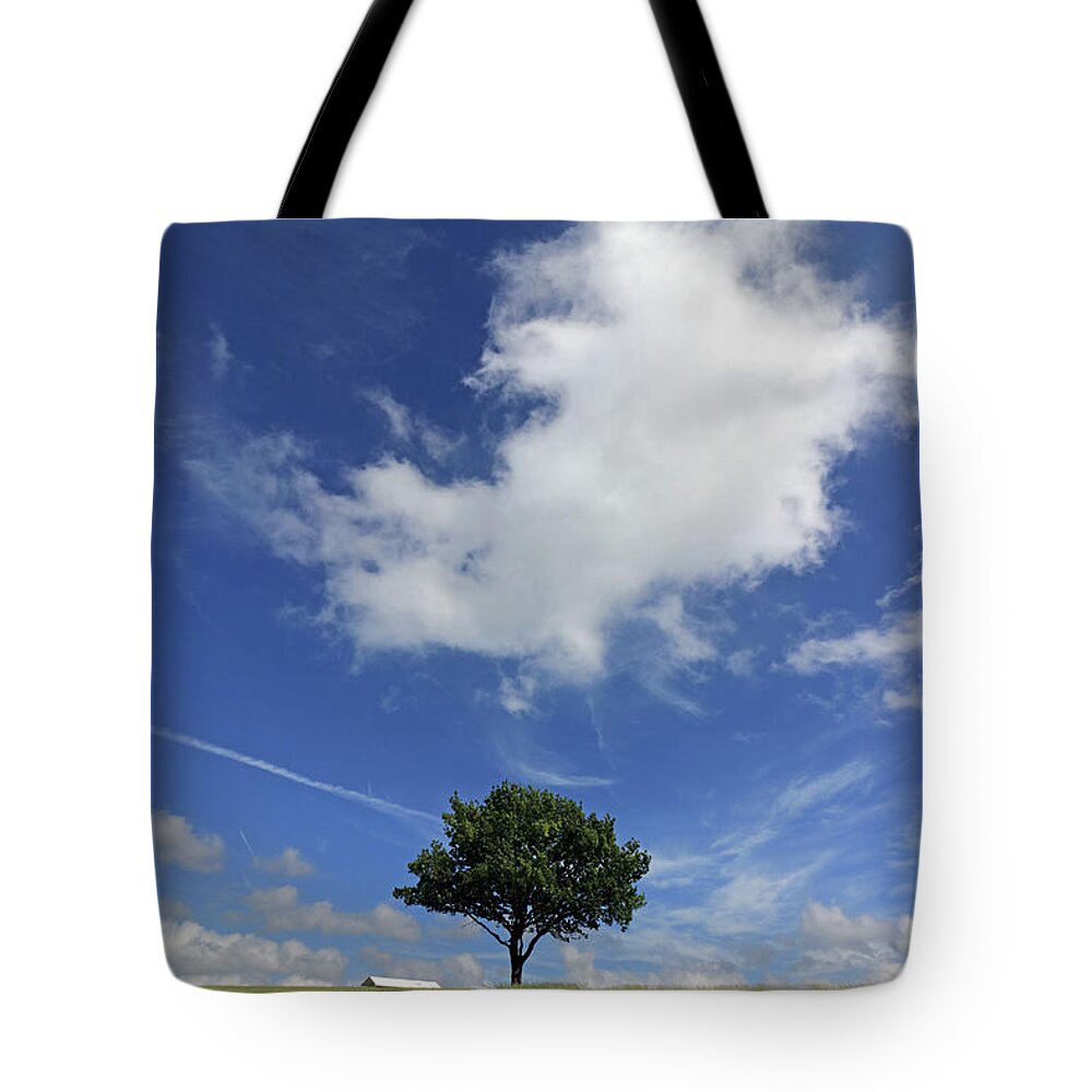 Epsom Downs Surrey Uk Tote Bag featuring the photograph Tranquility on Epsom Downs by Julia Gavin