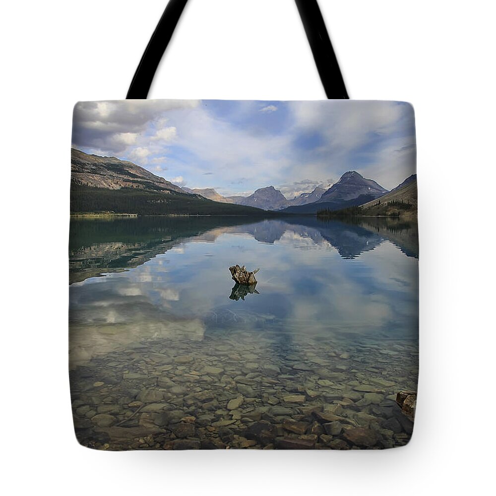 Lake Tote Bag featuring the photograph Tranquility by Teresa Zieba