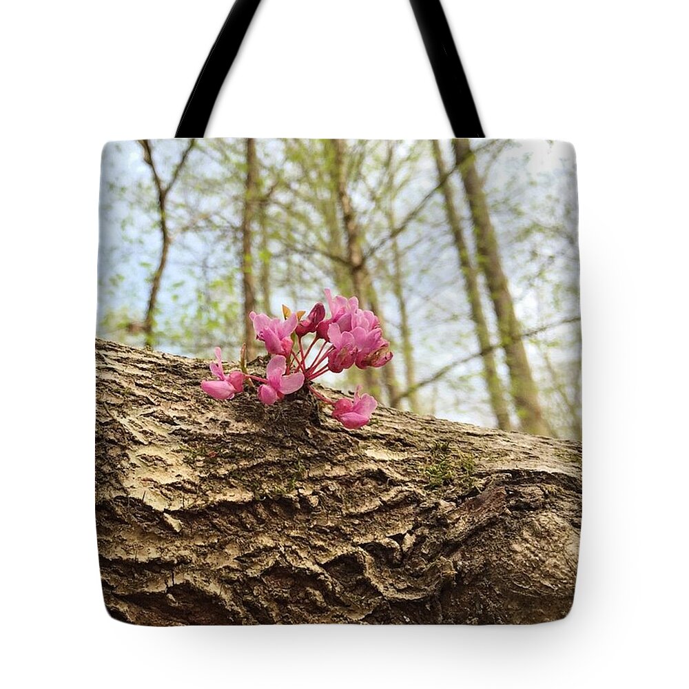 Flowe Tote Bag featuring the photograph Blooming Bark by Matt Urich