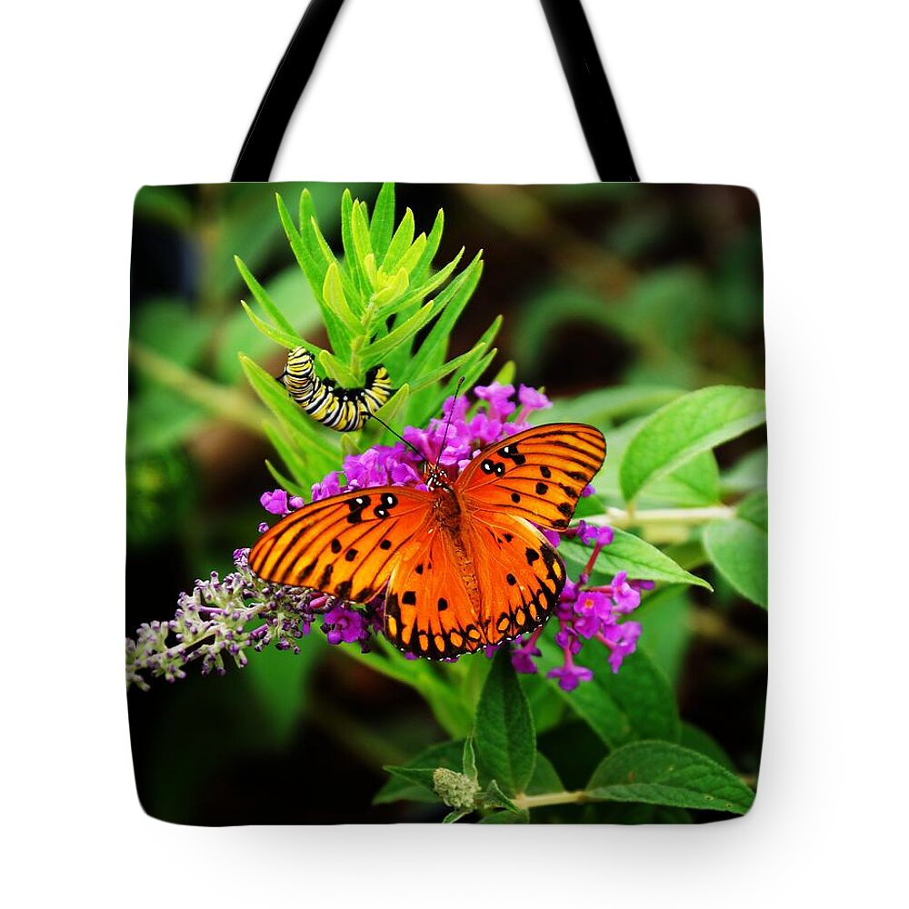  Tote Bag featuring the photograph Transformation by Rodney Lee Williams