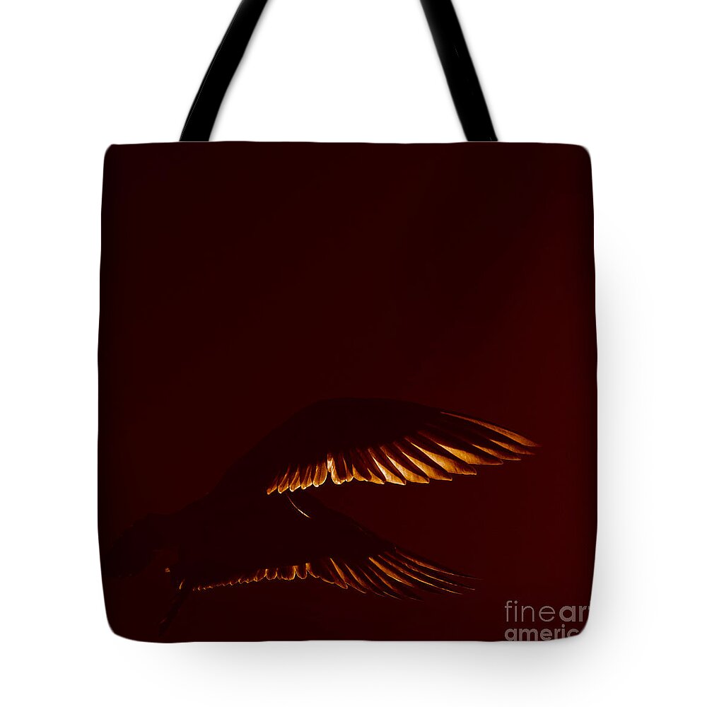 Photography By Paul Davenport Tote Bag featuring the photograph Transiently Translucent by Paul Davenport