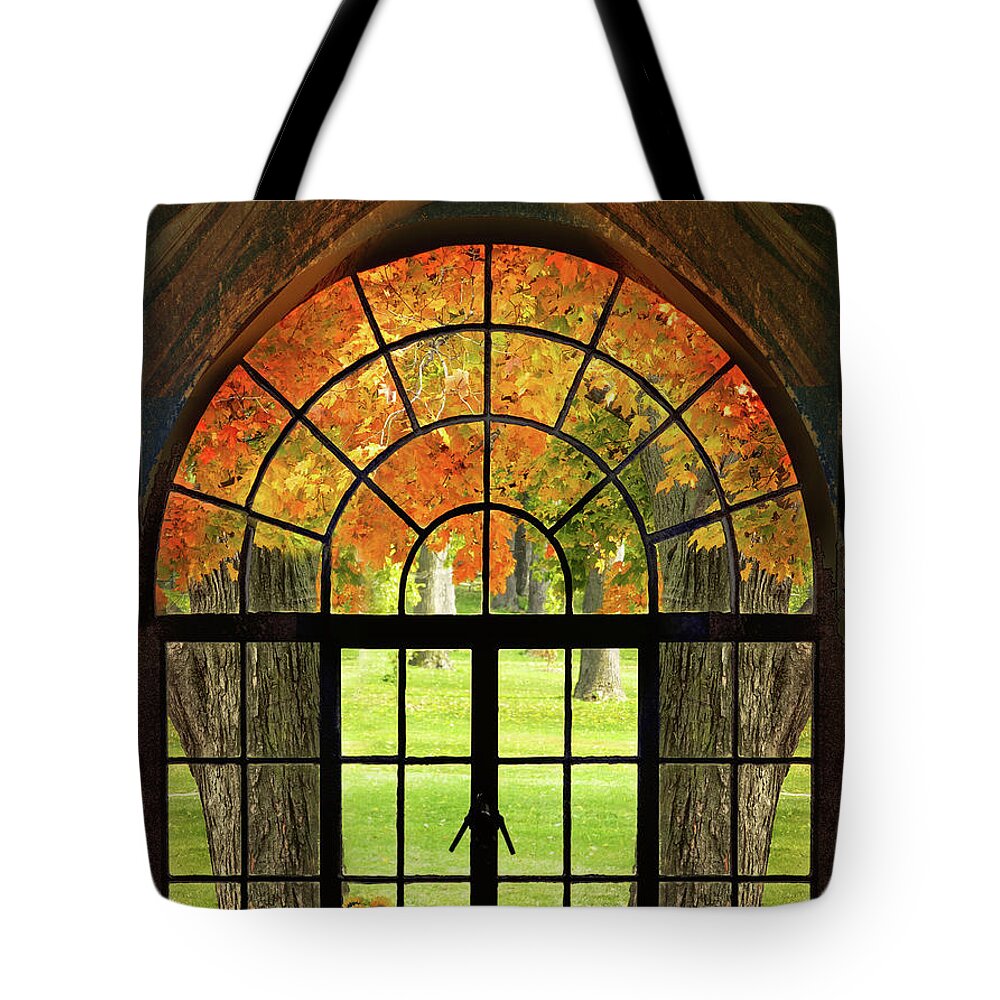 Fall Tote Bag featuring the photograph Transition by John Anderson