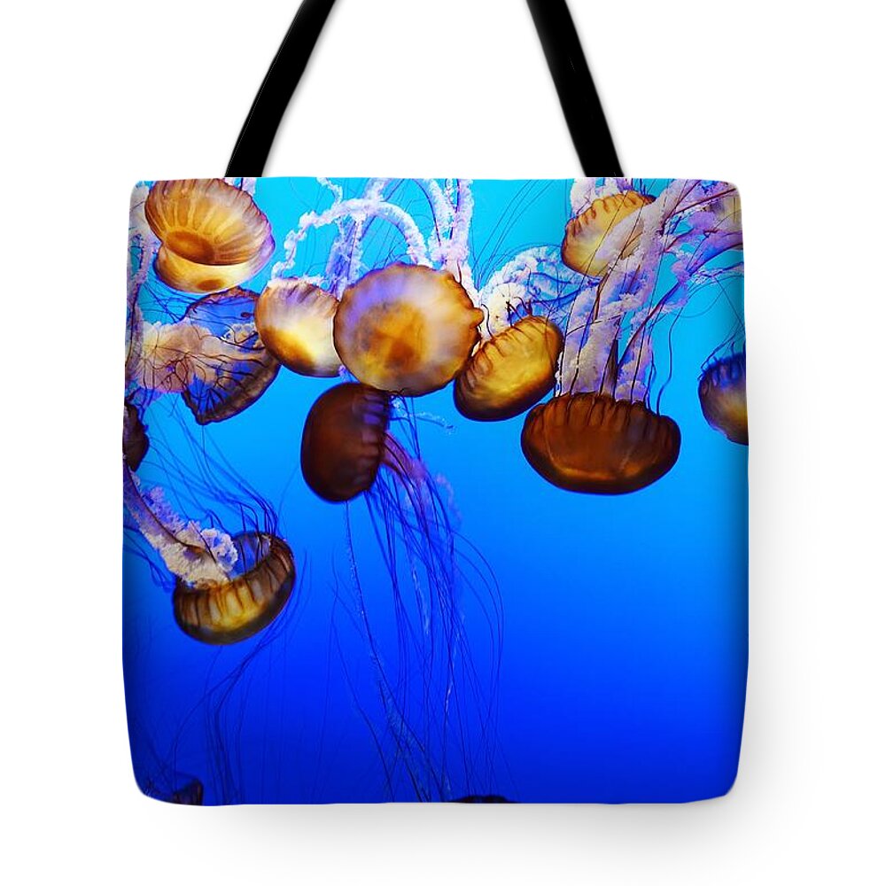 Jellyfish Tote Bag featuring the photograph Translucent Jellyfish by Marilyn MacCrakin