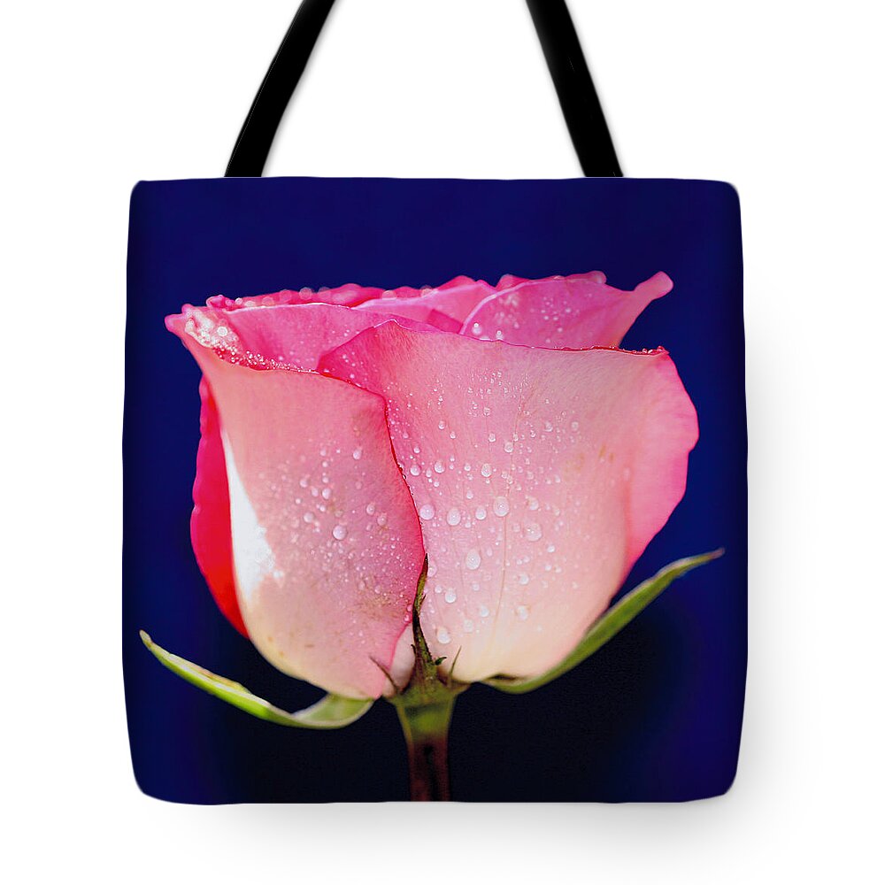 Rose Tote Bag featuring the photograph Translucent Rose by Gary Dean Mercer Clark