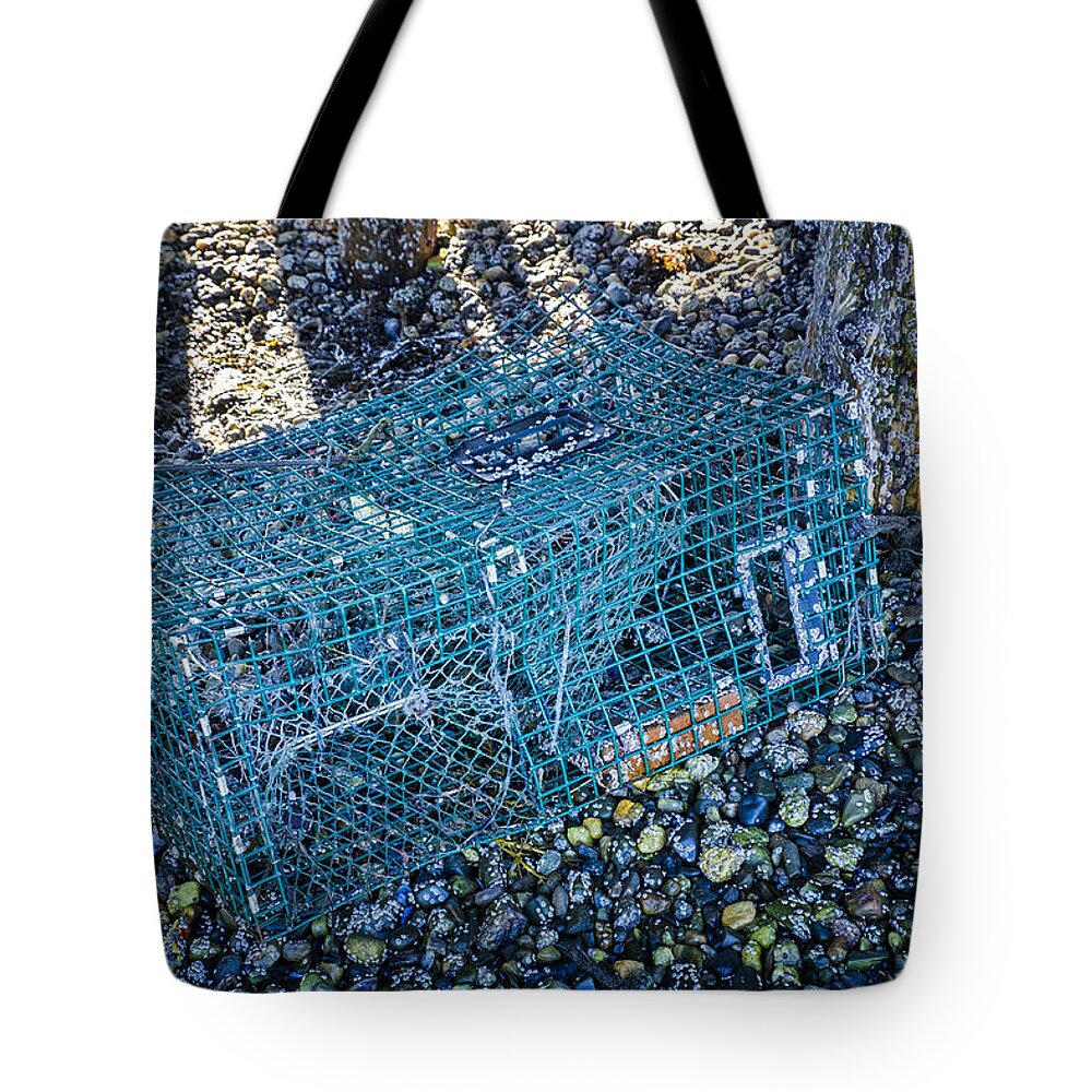 Maine Lobster Boats Tote Bag featuring the photograph Trap And Barnacles by Tom Singleton