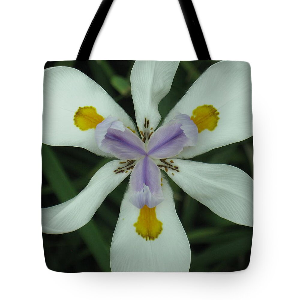  Tote Bag featuring the photograph Tre-lilly by Ron Monsour