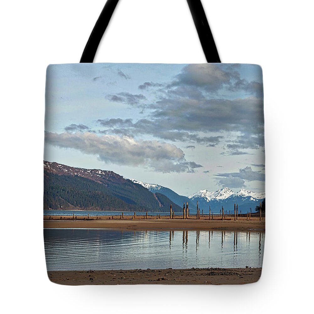 Treadwell Tote Bag featuring the photograph Treadwell Cave In Cove Hundredth Anniversary by Cathy Mahnke