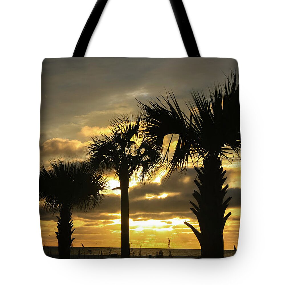 Florida Tote Bag featuring the photograph Treasure Island Sunset by Robert Wilder Jr
