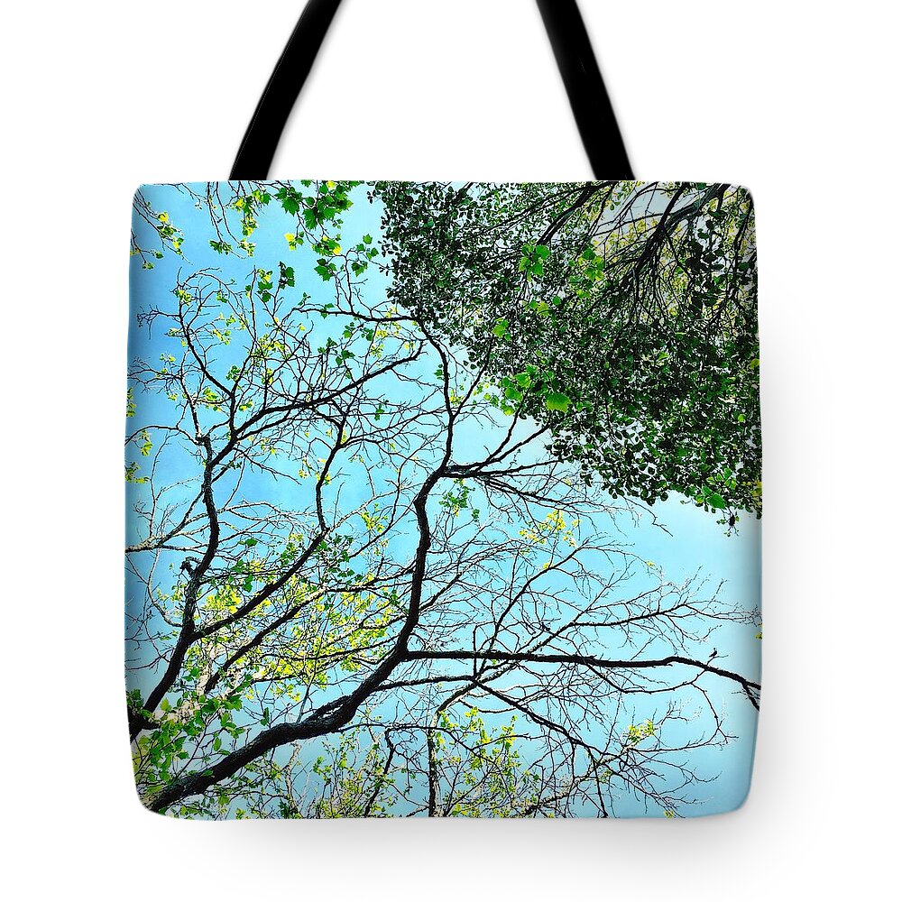  Tote Bag featuring the photograph Tree #1 by Julie Gebhardt