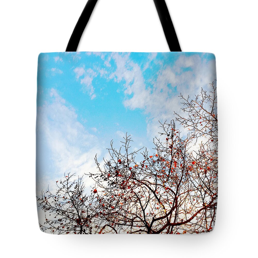  Tote Bag featuring the photograph Tree #2 by Julie Gebhardt