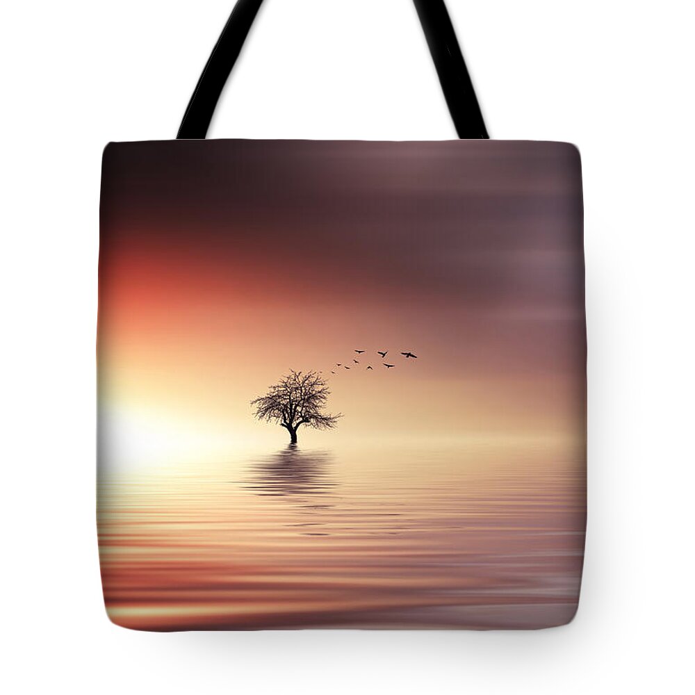 Sunlight Tote Bag featuring the photograph Tree and birds on lake sunset by Bess Hamiti