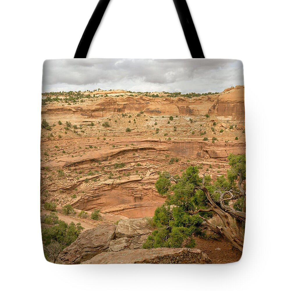 Canyon Tote Bag featuring the photograph Tree and Shafer Trail by Peter J Sucy