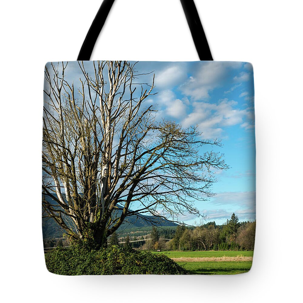 Tree Tote Bag featuring the photograph Tree and Sky by Tom Cochran