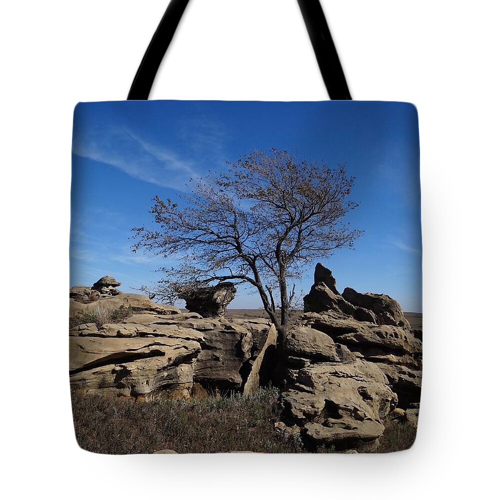 Tree Tote Bag featuring the photograph Tree at Stirling Rock by Keith Stokes