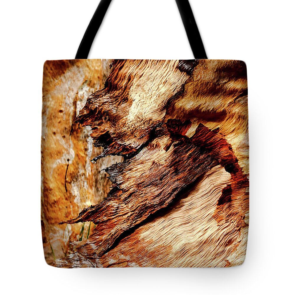 Australian Tree Bark Series Images By Lexa Harpell Tote Bag featuring the photograph Tree Bark Series - Patterns #2 by Lexa Harpell