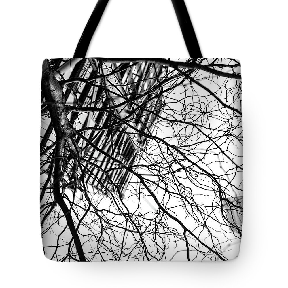 Tree Tote Bag featuring the photograph Tree Business by John Williams