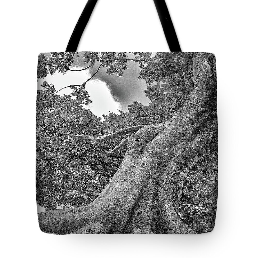 Brazil Tote Bag featuring the photograph Tree -BW by Enio Godoy