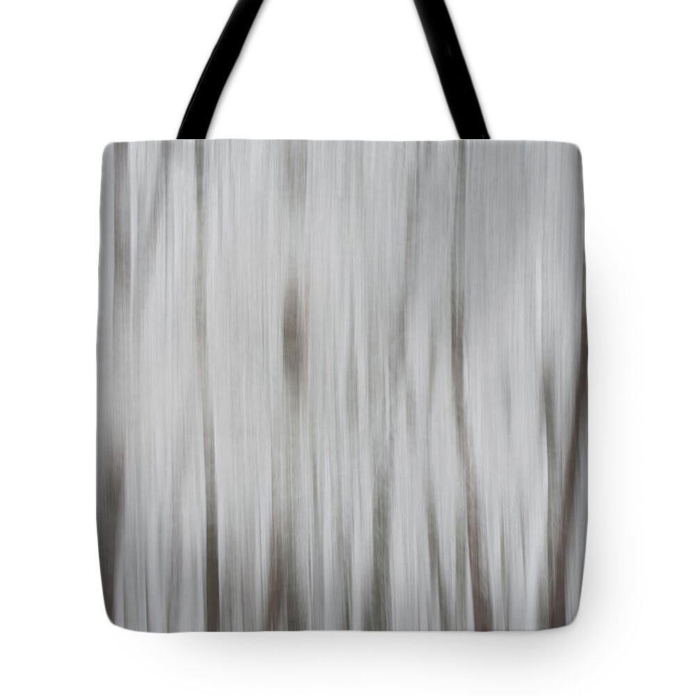 Lake County Tote Bag featuring the photograph Tree Dreams by Stewart Helberg