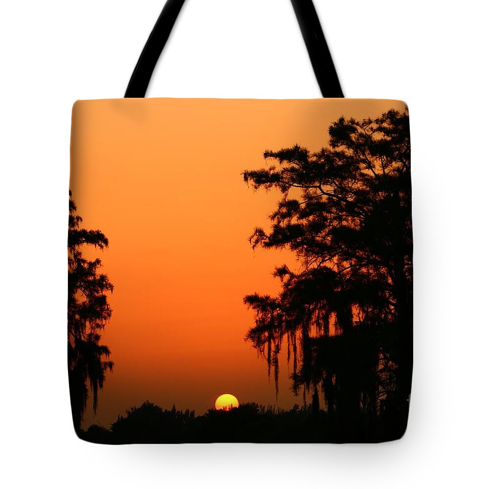 Tree Tote Bag featuring the photograph Tree Flanked Sunset by Tom Claud