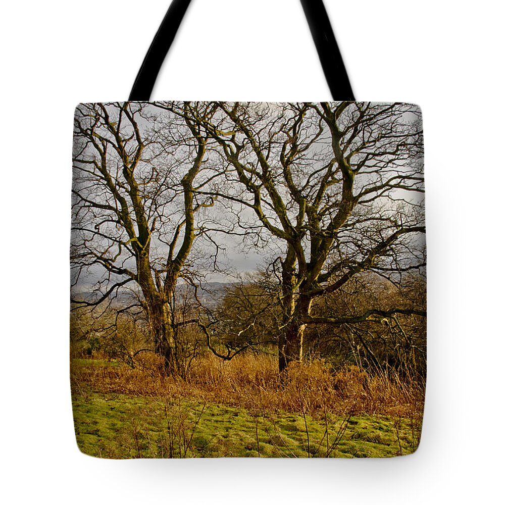 Tree Tote Bag featuring the photograph Tree friendship. by Elena Perelman