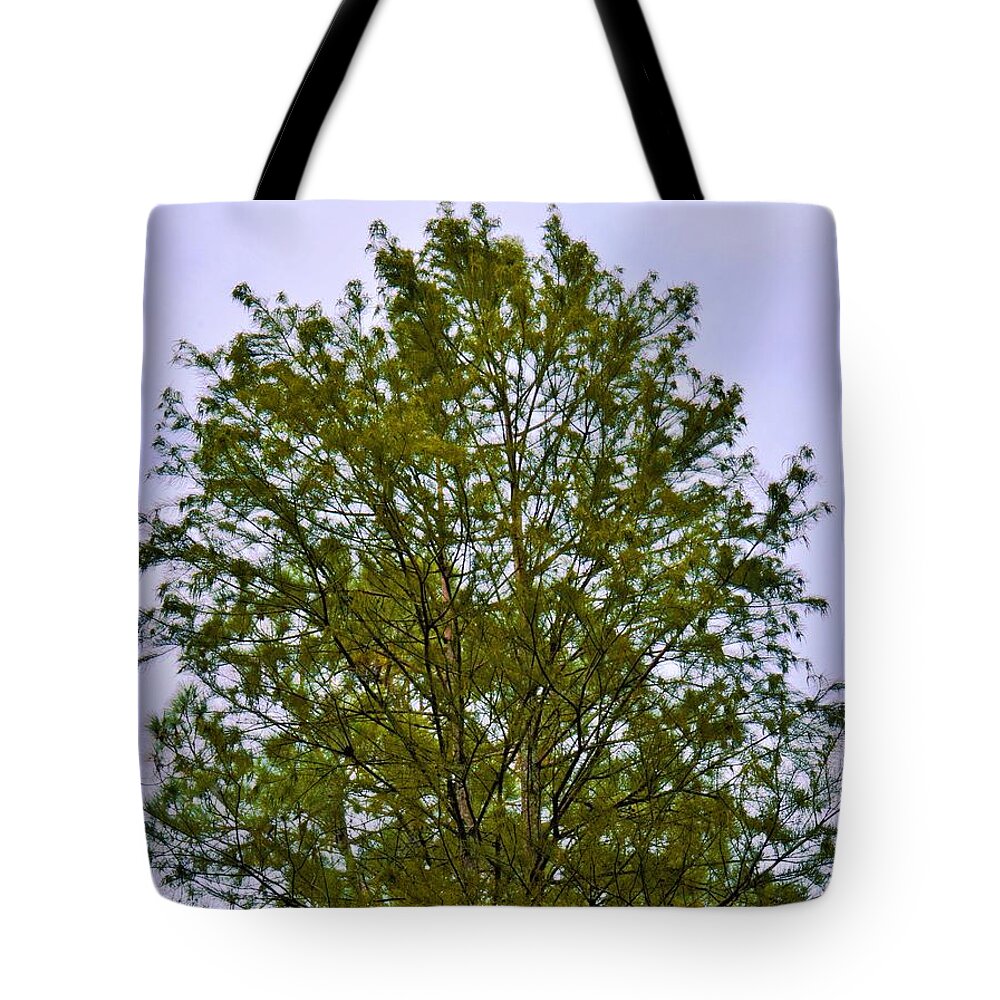 Tree Tote Bag featuring the photograph Tree In Solitaire by Jan Gelders