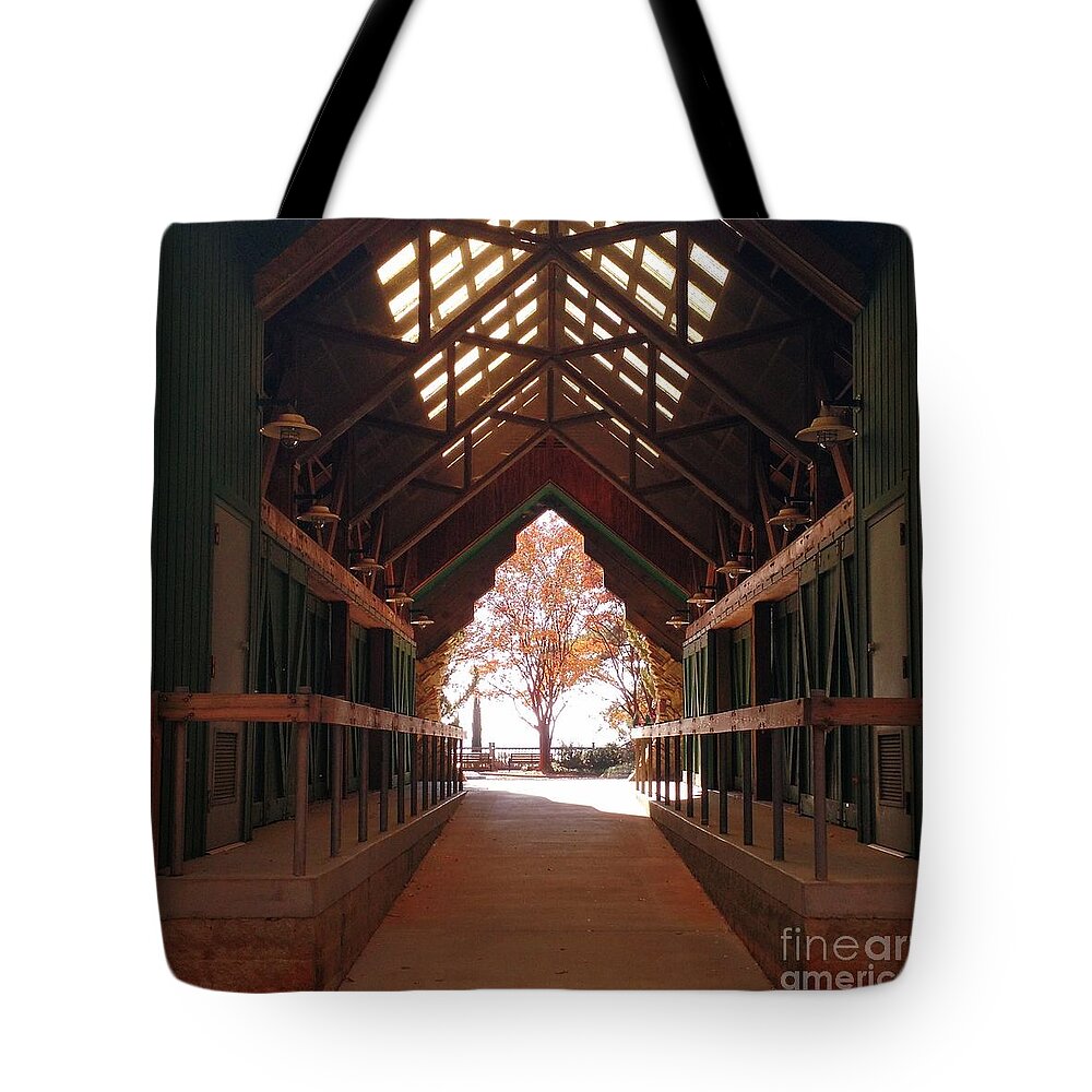 Tree Tote Bag featuring the photograph Tree in the Light by Anita Adams