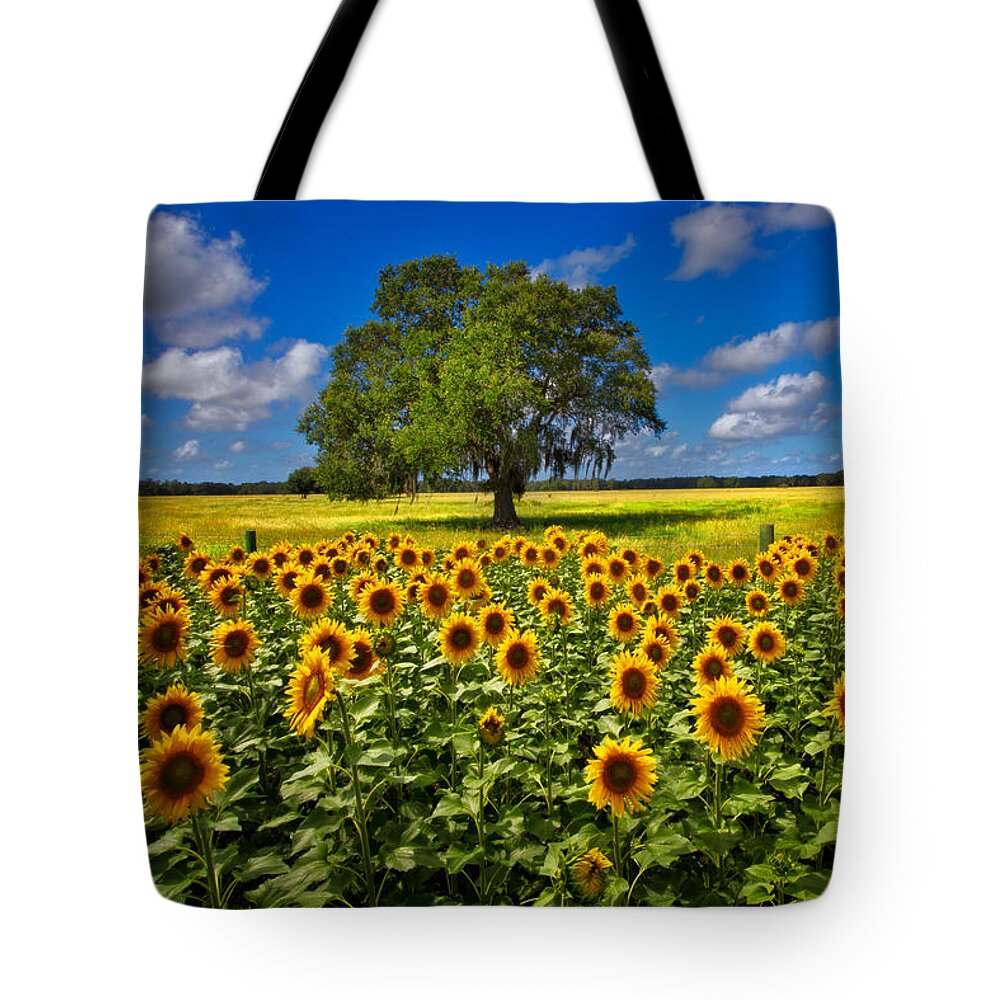 Clouds Tote Bag featuring the photograph Tree in the Sunflower Field by Debra and Dave Vanderlaan