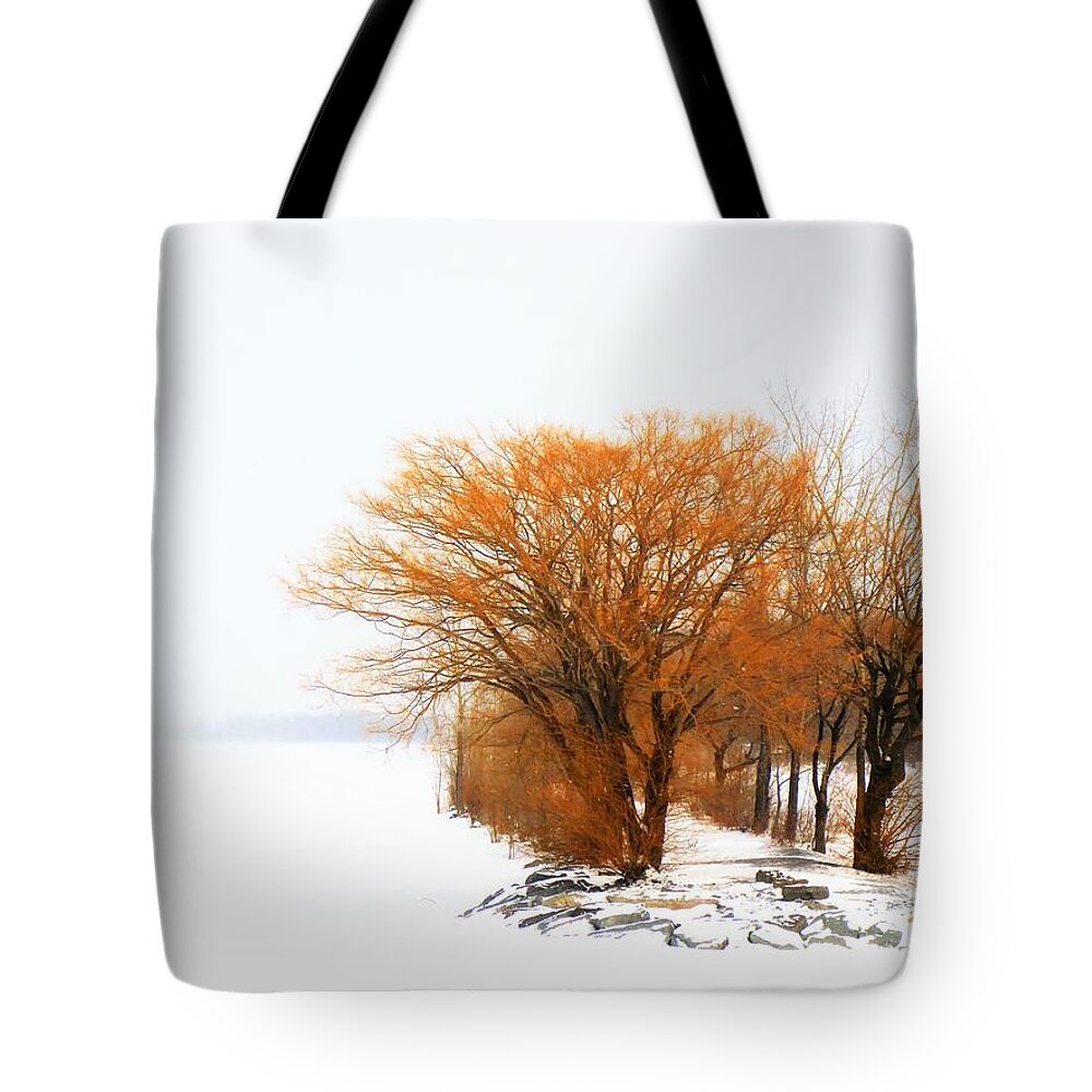 Winter Tote Bag featuring the photograph Tree in the Winter by Cristina Stefan