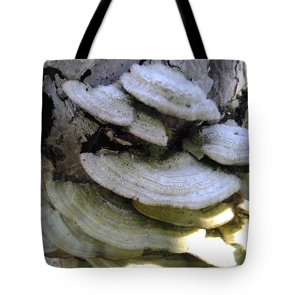  Tote Bag featuring the photograph Tree Lichen by Stephanie Piaquadio